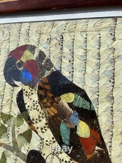 Aile De Papillon Vintage Vintage Coloured Marquetry Frame Signed Perroquet