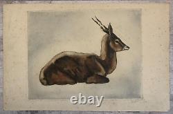 Alex ORSI (20th-21st) Animal Portrait of a Resting Antelope Art Deco