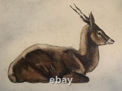 Alex ORSI (20th-21st) Animal Portrait of a Resting Antelope Art Deco