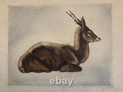 Alex ORSI (20th-21st) Animal Portrait of a Resting Antelope Art Deco