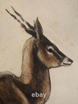 Alex ORSI (20th-21st) Animal Portrait of a Resting Antelope Art Deco