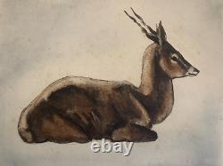 Alex ORSI (20th-21st) Animal Portrait of a Resting Antelope Art Deco