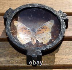 Art Deco Butterfly Signed Empty Pocket Tray in Wrought Iron and Butterfly Wing