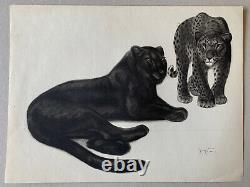 Georges Lucien Guyot Lithographie Black Panther Panther Tiger Spirit Paul Jouve