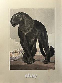 PAUL JOUVE ANIMAL ENGRAVING ART DECO Black Panther