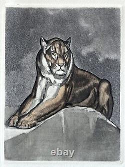 PAUL JOUVE ANIMAL ENGRAVING ART DECO Tiger Panther Lioness Lion