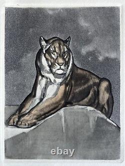 PAUL JOUVE ANIMAL ENGRAVING ART DECO Tiger Panther Lioness Lion