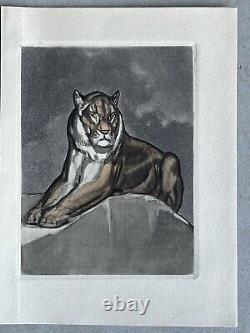 PAUL JOUVE ANIMAL ENGRAVING ART DECO Tiger Panther Lioness Lion