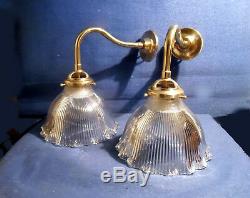 Pair Of Wall Art Deco Tulips Glass Signed Holophane Brass Swan Neck