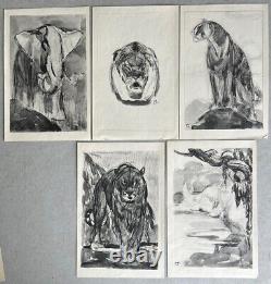 Paul JOUVE Lot 5 animal sketches ART DECO Elephant panther rhinoceros Lion