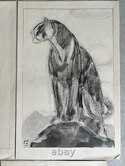 Paul JOUVE Lot 5 animal sketches ART DECO Elephant panther rhinoceros Lion