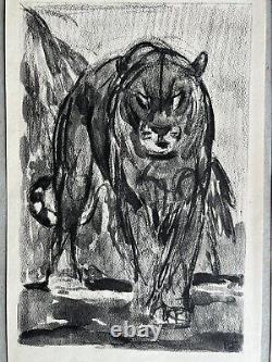 Paul JOUVE Lot 5 animal sketches ART DECO Elephant panther rhinoceros Lion