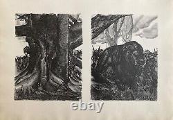 Paul Jouve etching signed around 1930 the felines the elephants the lion art