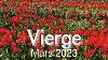 Virgin March 2023 Cultivating Patience