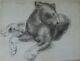 Yvonne Hanriot Giraud Drawing Tiger Panthere Art Deco Animal Fawn Lion Lioness