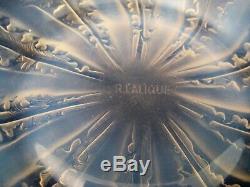 Coupe en cristal signée R. Lalique à décor de chicorées début XX ème siècle