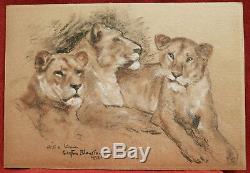 Gaston BLONDEAU dessin lion lionne fauve tableau art animalier art déco animaux