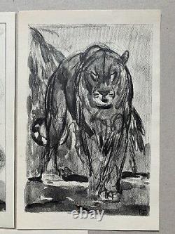 Lot 5 GRAVURE Art Deco Panthere Lion Tigre Éléphant Rhinocéros signée PAUL JOUVE