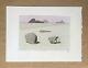 Pierre Le Tan Coquillages Original Lithograph Rives Paper Numbered Signed Plate