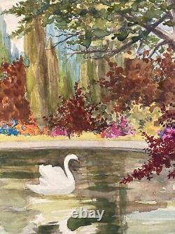 Très Belle peinture aquarelle Papier Sous Bois Lac 1930 À Identifier Forêt Cygne