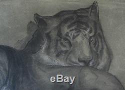 Yvonne Hanriot Giraud Dessin Tigre Panthere Art Deco Animalier Fauve Lion Lionne